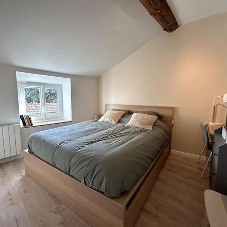 Appartement Central - L'Est Tarare Eksteriør billede