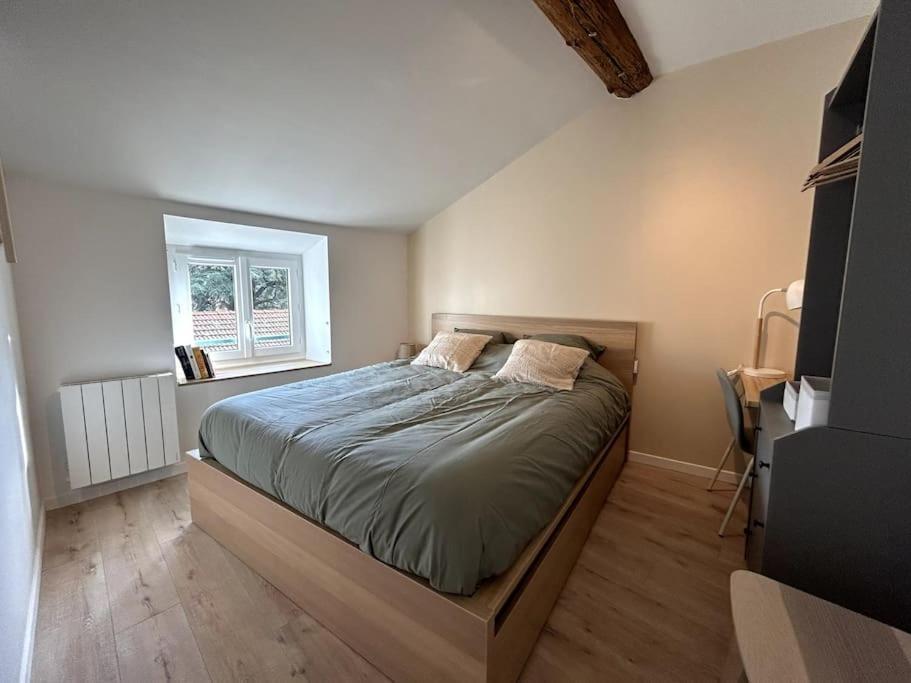 Appartement Central - L'Est Tarare Eksteriør billede