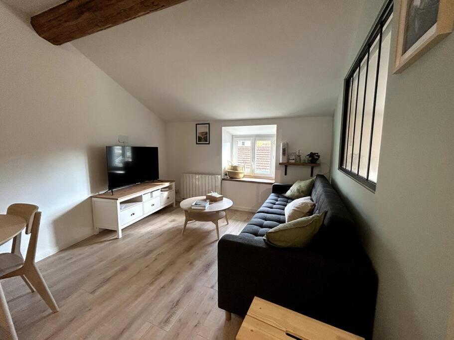 Appartement Central - L'Est Tarare Eksteriør billede